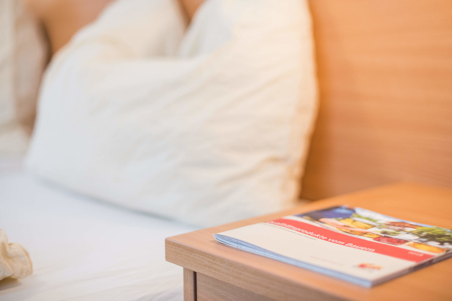  – Vacation apartment Sonnenschein (Sunshine)