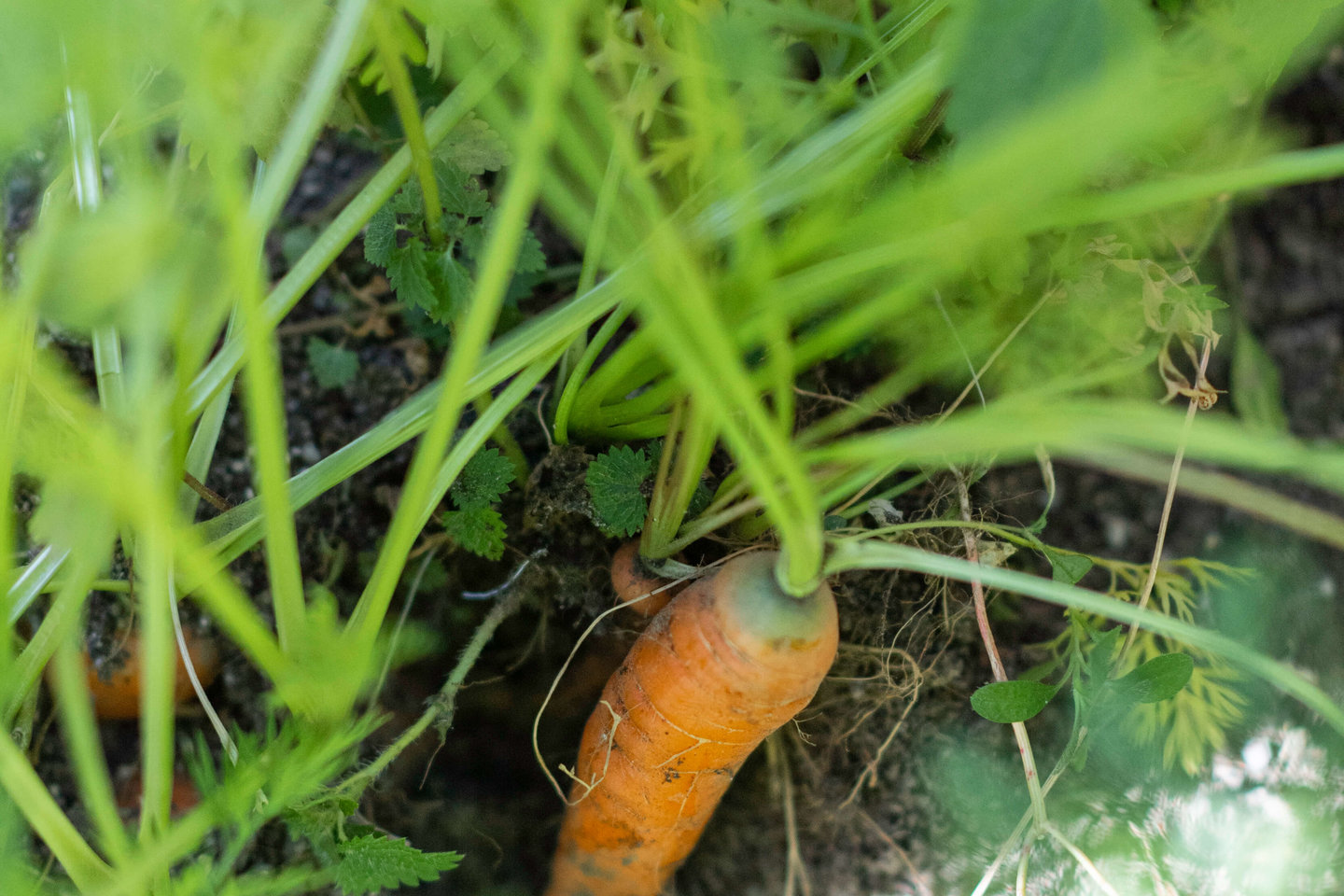  – Ferienwohnung Sternenblick
